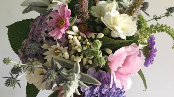 A Time for Giving: our local last minute gift guide!